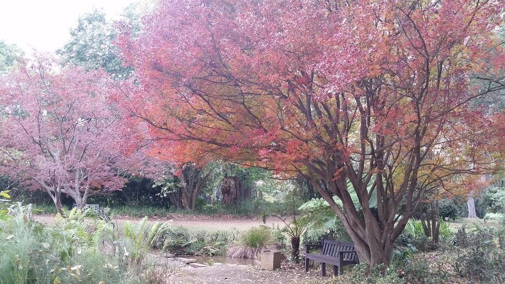 Babbling Brook Bed & Breakfast Pietermaritzburg Exterior foto