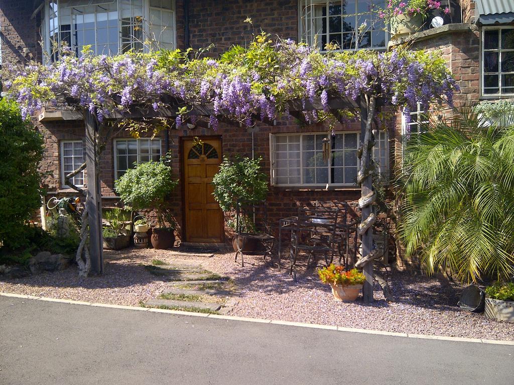 Babbling Brook Bed & Breakfast Pietermaritzburg Exterior foto